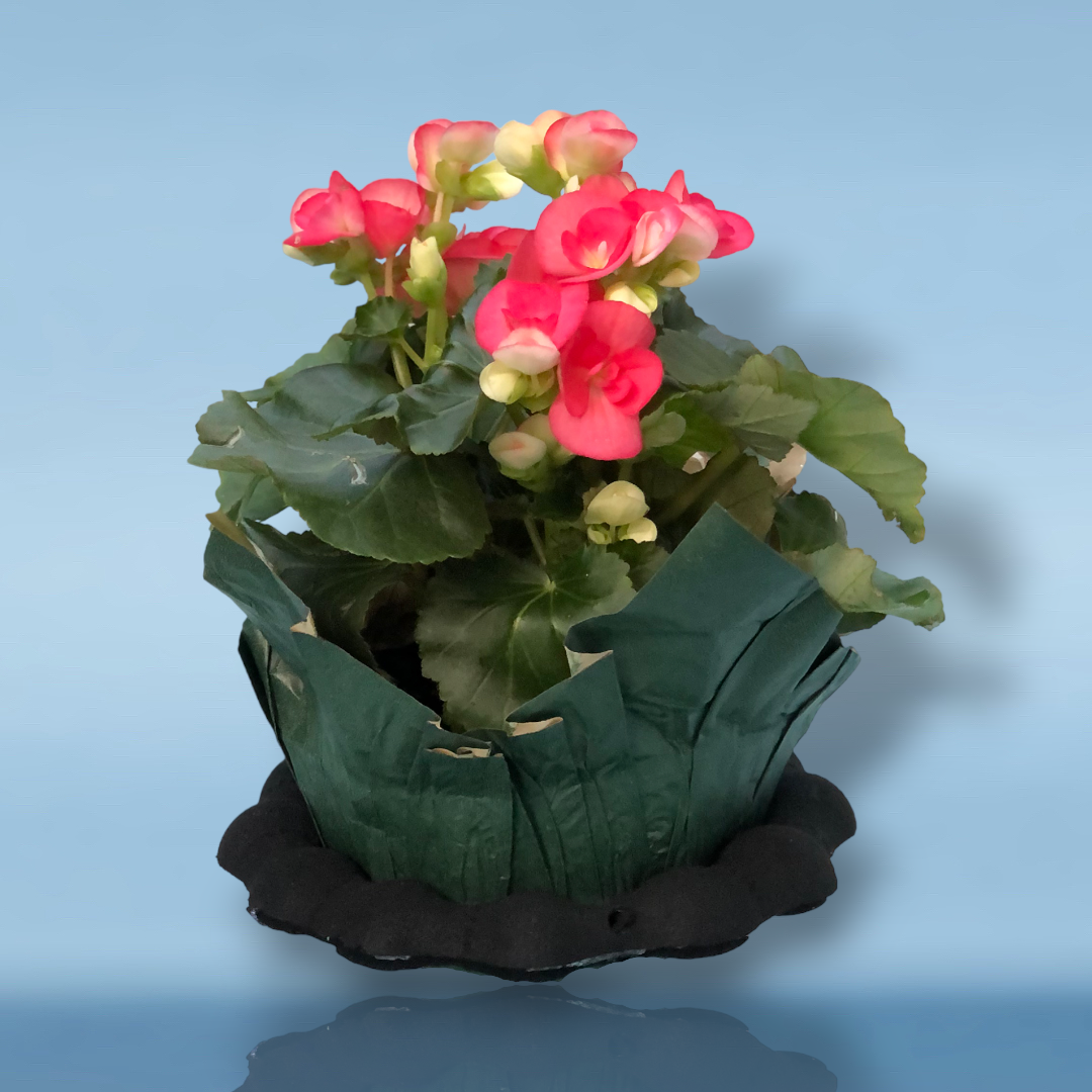 Benzeni™ - Plant Float - Set of 2