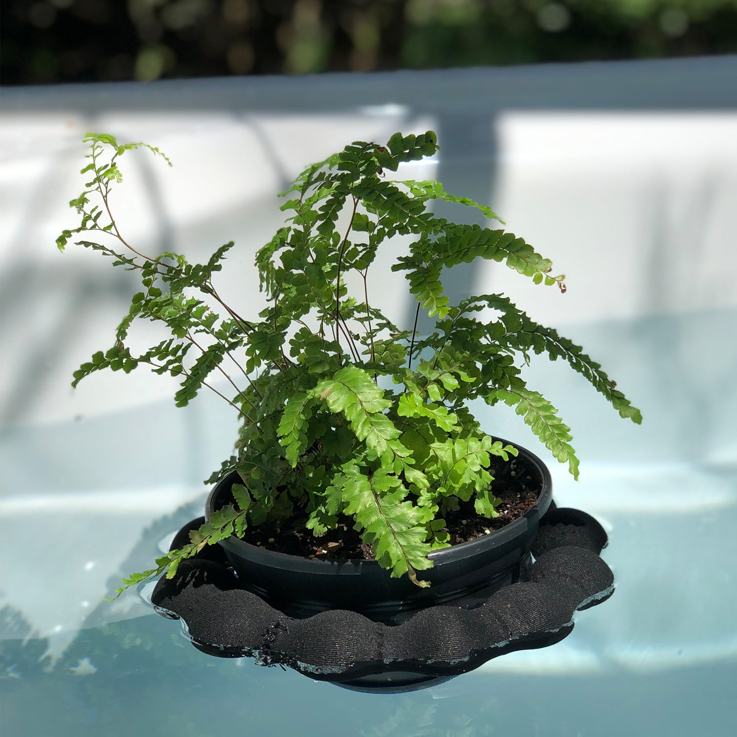Plastic Plant Pot - Black - Set of 2